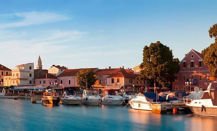 Ivana Biograd Na Moru